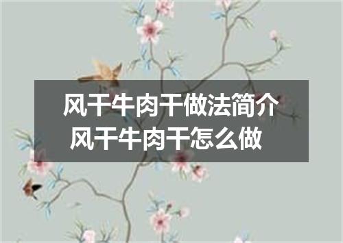 风干牛肉干做法简介 风干牛肉干怎么做