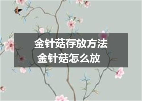 金针菇存放方法 金针菇怎么放
