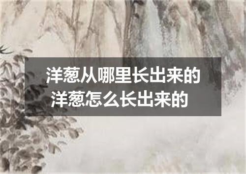 洋葱从哪里长出来的 洋葱怎么长出来的