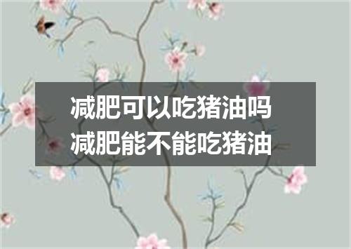 减肥可以吃猪油吗 减肥能不能吃猪油