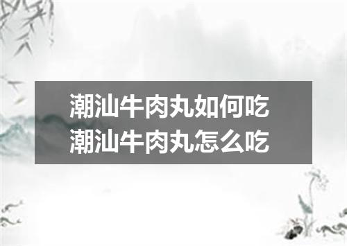 潮汕牛肉丸如何吃 潮汕牛肉丸怎么吃