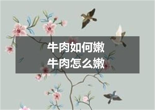 牛肉如何嫩 牛肉怎么嫩