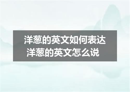 洋葱的英文如何表达 洋葱的英文怎么说