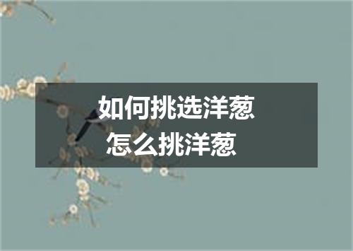 如何挑选洋葱 怎么挑洋葱