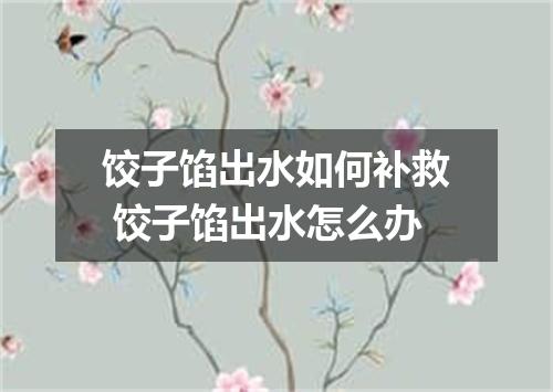 饺子馅出水如何补救 饺子馅出水怎么办