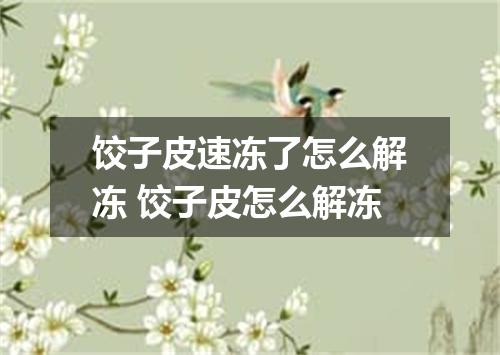 饺子皮速冻了怎么解冻 饺子皮怎么解冻