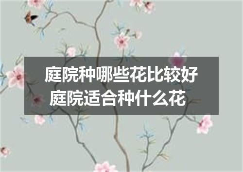 庭院种哪些花比较好 庭院适合种什么花