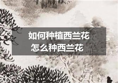 如何种植西兰花 怎么种西兰花