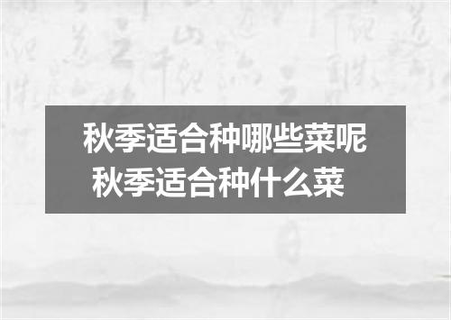 秋季适合种哪些菜呢 秋季适合种什么菜