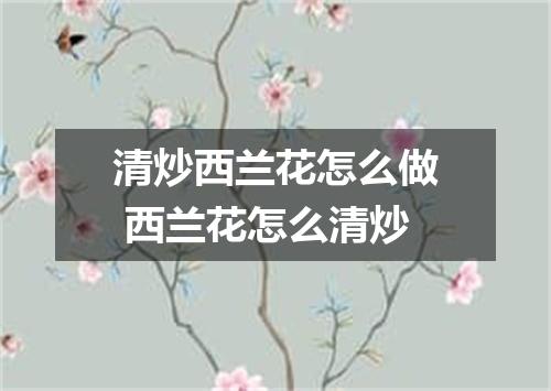清炒西兰花怎么做 西兰花怎么清炒