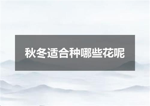 秋冬适合种哪些花呢