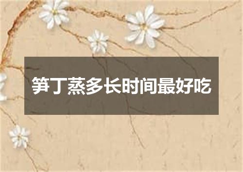 笋丁蒸多长时间最好吃