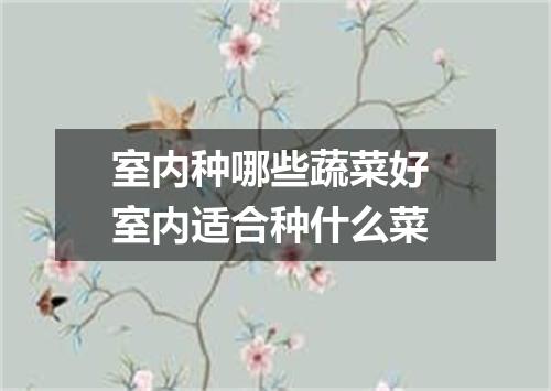 室内种哪些蔬菜好 室内适合种什么菜