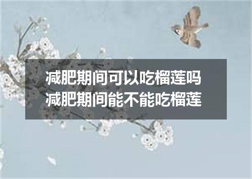 减肥期间可以吃榴莲吗 减肥期间能不能吃榴莲