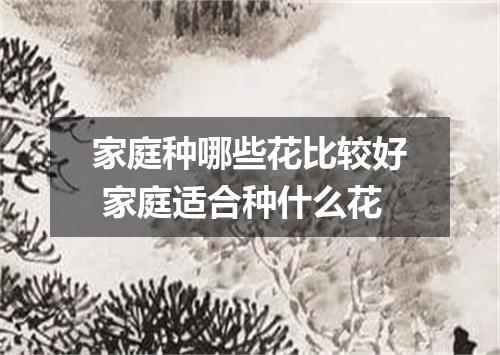 家庭种哪些花比较好 家庭适合种什么花