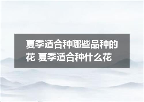 夏季适合种哪些品种的花 夏季适合种什么花