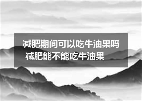 减肥期间可以吃牛油果吗 减肥能不能吃牛油果