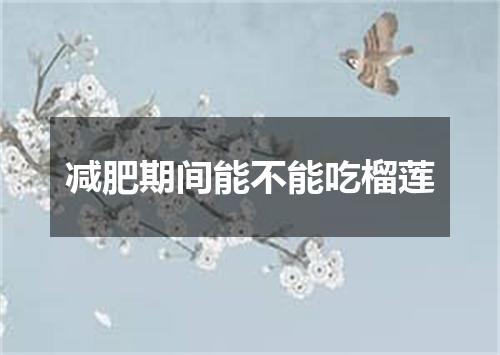 减肥期间能不能吃榴莲