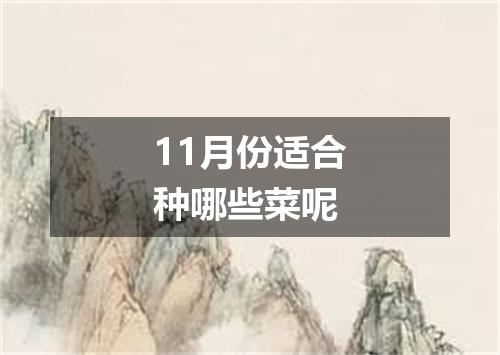 11月份适合种哪些菜呢