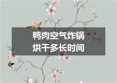 鸭肉空气炸锅烘干多长时间