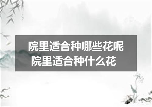 院里适合种哪些花呢 院里适合种什么花