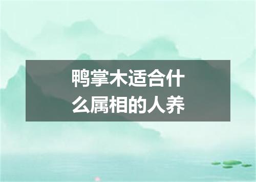 鸭掌木适合什么属相的人养