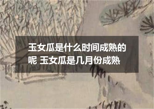 玉女瓜是什么时间成熟的呢 玉女瓜是几月份成熟