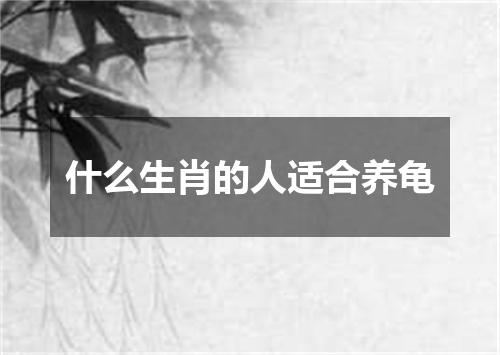 什么生肖的人适合养龟