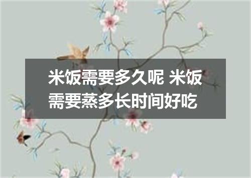 米饭需要多久呢 米饭需要蒸多长时间好吃