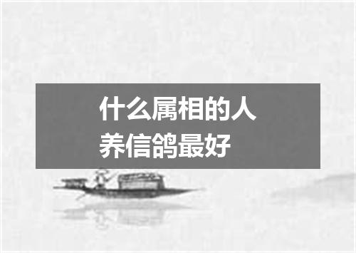 什么属相的人养信鸽最好
