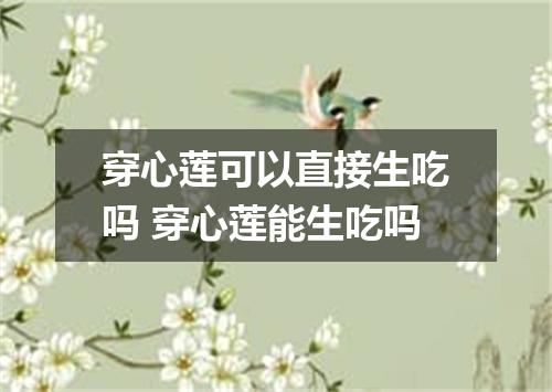 穿心莲可以直接生吃吗 穿心莲能生吃吗