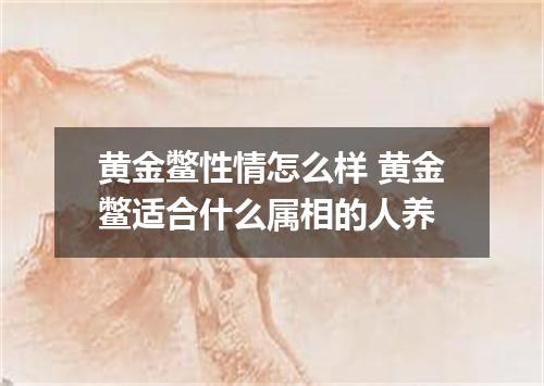 黄金鳖性情怎么样 黄金鳖适合什么属相的人养