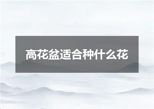 高花盆适合种什么花