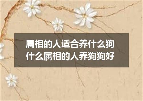 属相的人适合养什么狗 什么属相的人养狗狗好