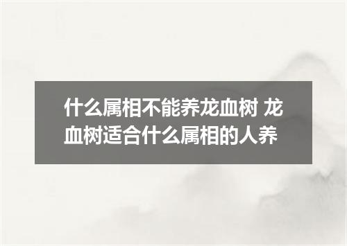 什么属相不能养龙血树 龙血树适合什么属相的人养