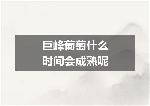 巨峰葡萄什么时间会成熟呢