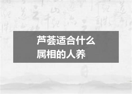 芦荟适合什么属相的人养
