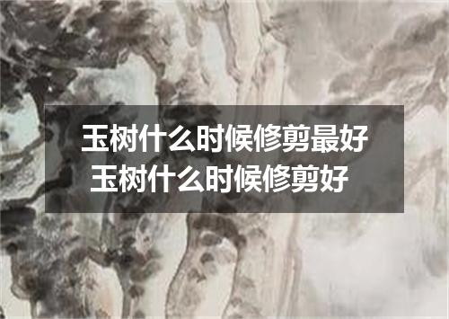 玉树什么时候修剪最好 玉树什么时候修剪好