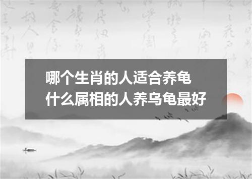 哪个生肖的人适合养龟 什么属相的人养乌龟最好