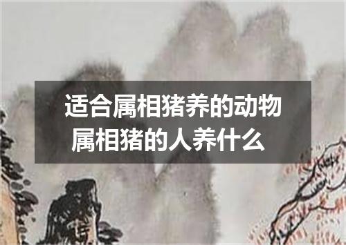 适合属相猪养的动物 属相猪的人养什么