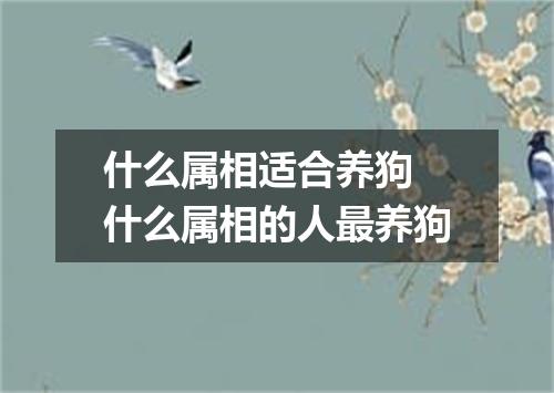什么属相适合养狗 什么属相的人最养狗
