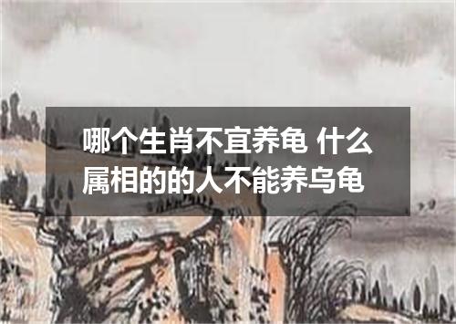 哪个生肖不宜养龟 什么属相的的人不能养乌龟