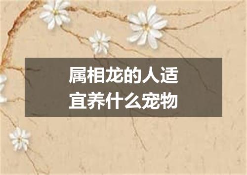 属相龙的人适宜养什么宠物