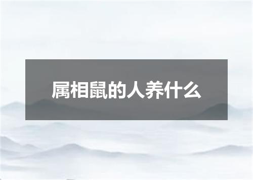 属相鼠的人养什么