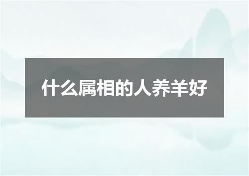 什么属相的人养羊好