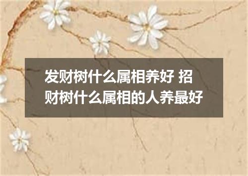 发财树什么属相养好 招财树什么属相的人养最好