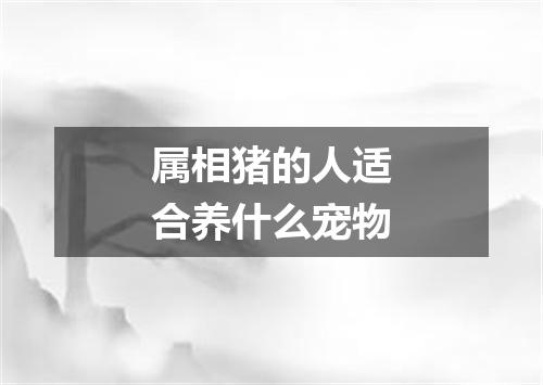 属相猪的人适合养什么宠物