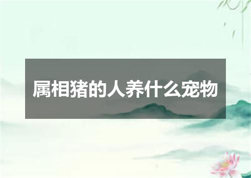 属相猪的人养什么宠物