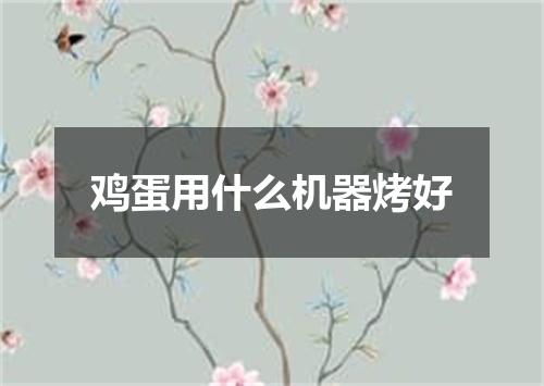 鸡蛋用什么机器烤好