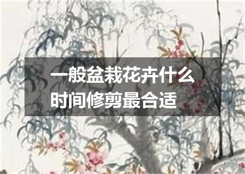 一般盆栽花卉什么时间修剪最合适